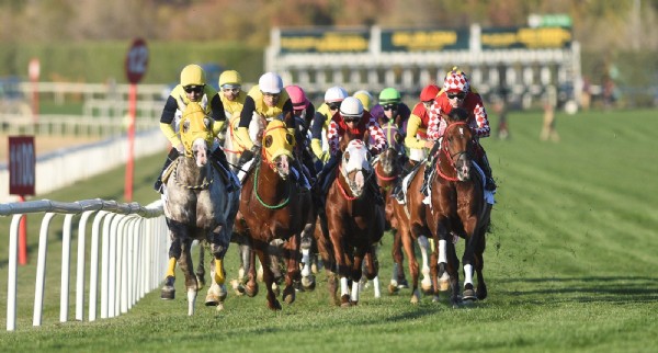 Başkentte Cumhuriyete Yakışan Mücadele! Safkanlardan Muhteşem Sezon Finali